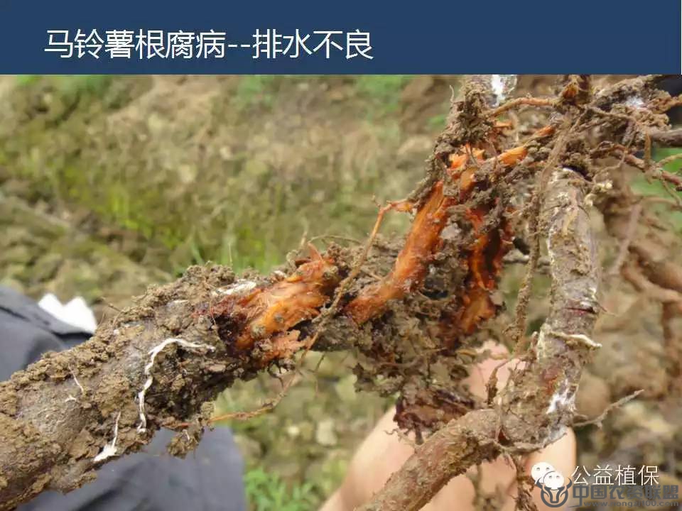 附件