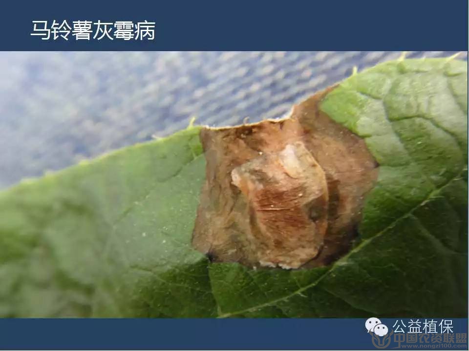 附件
