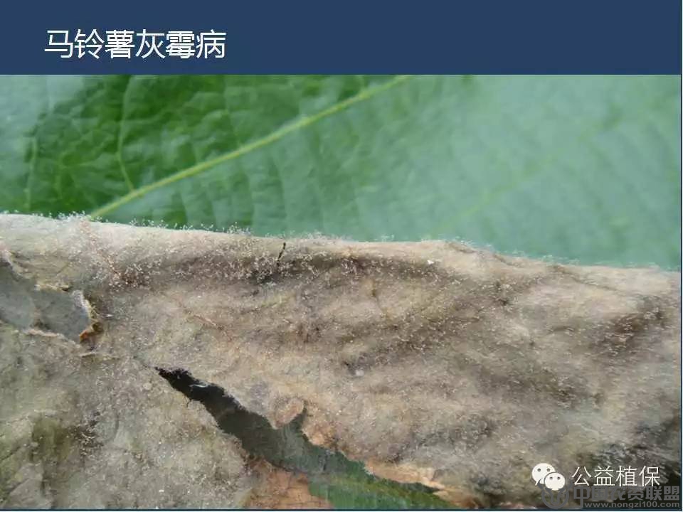 附件