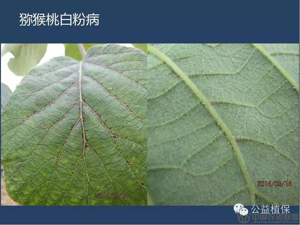 附件