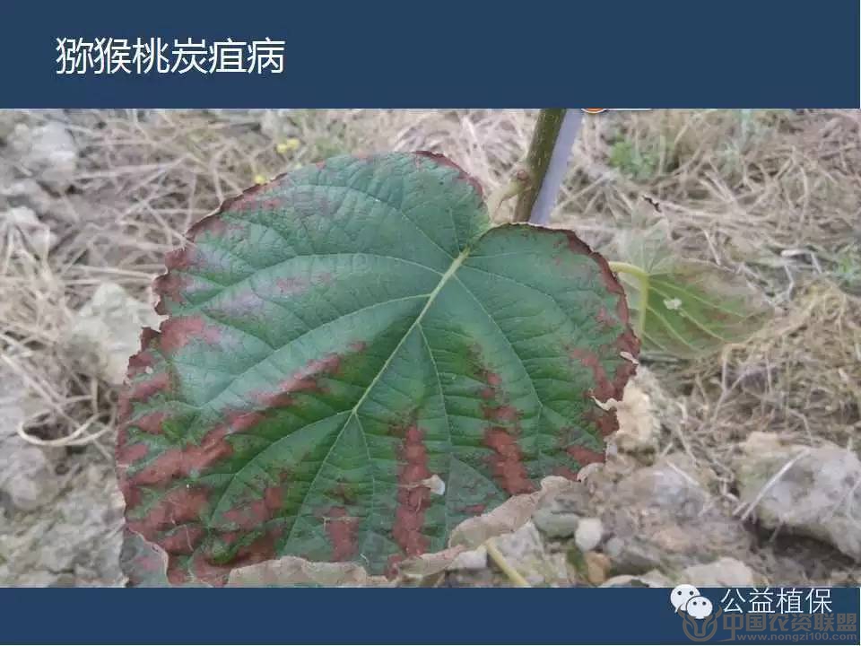 附件