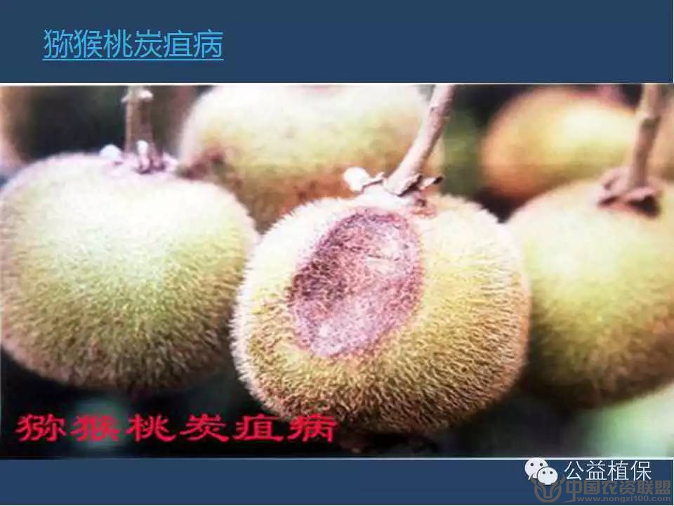 附件