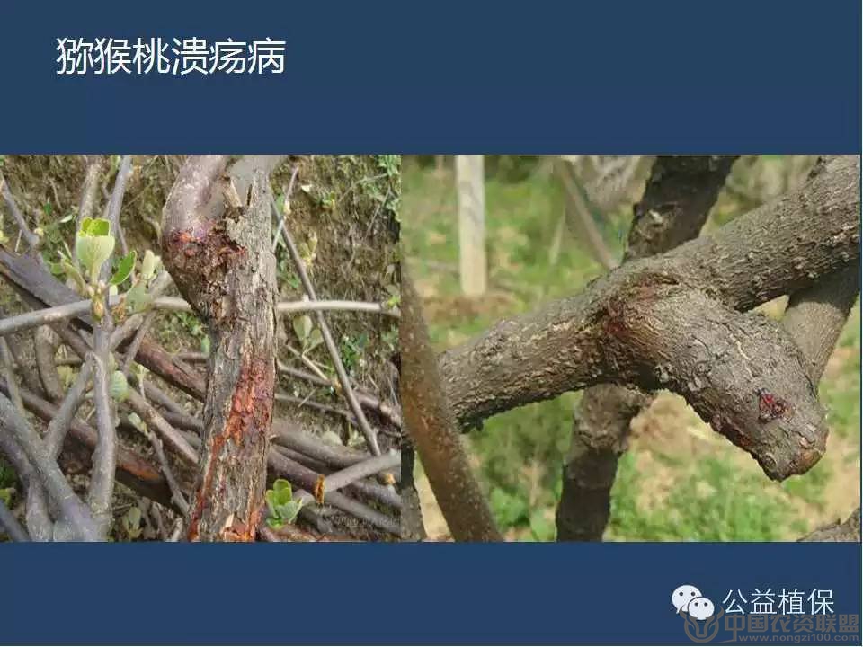 附件