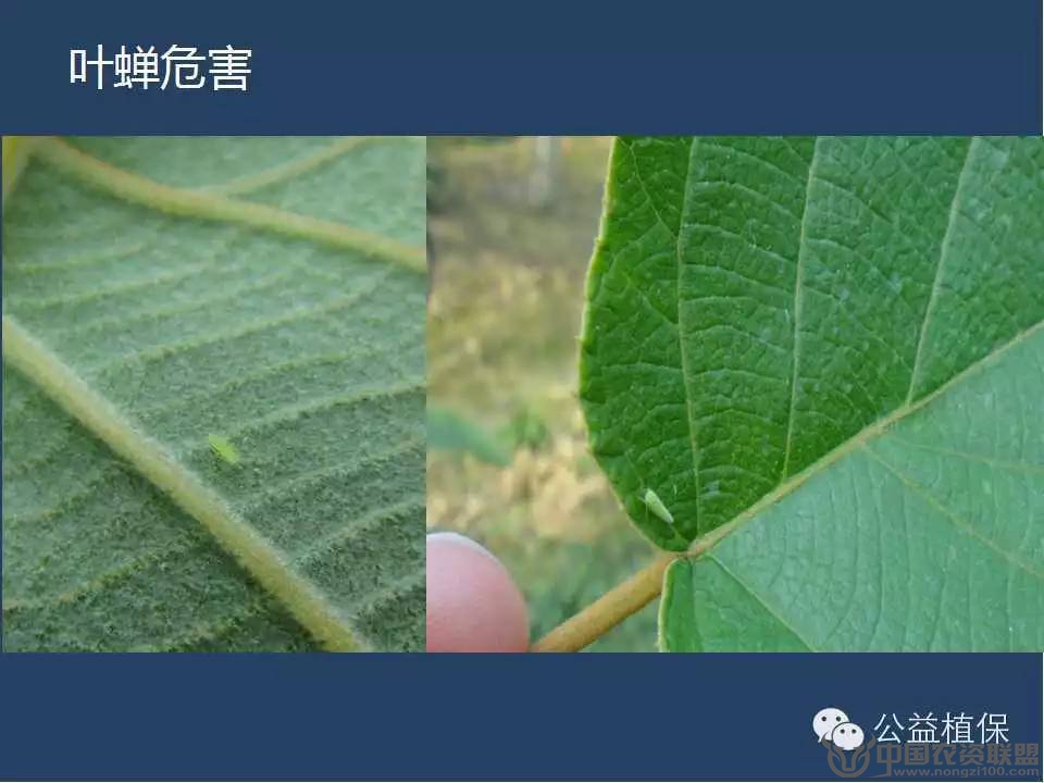 附件