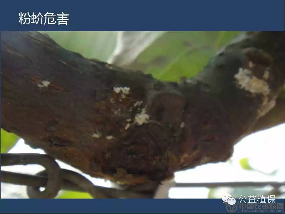 附件