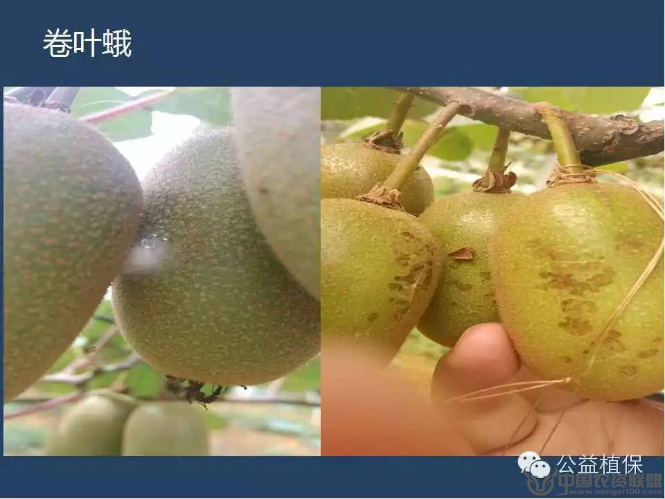 附件