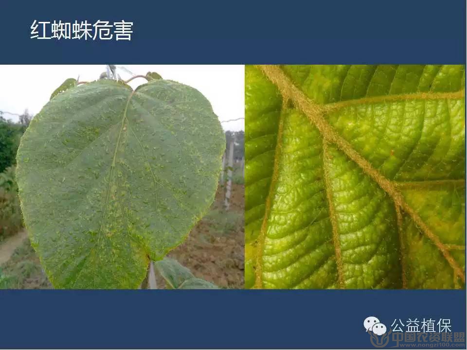 附件