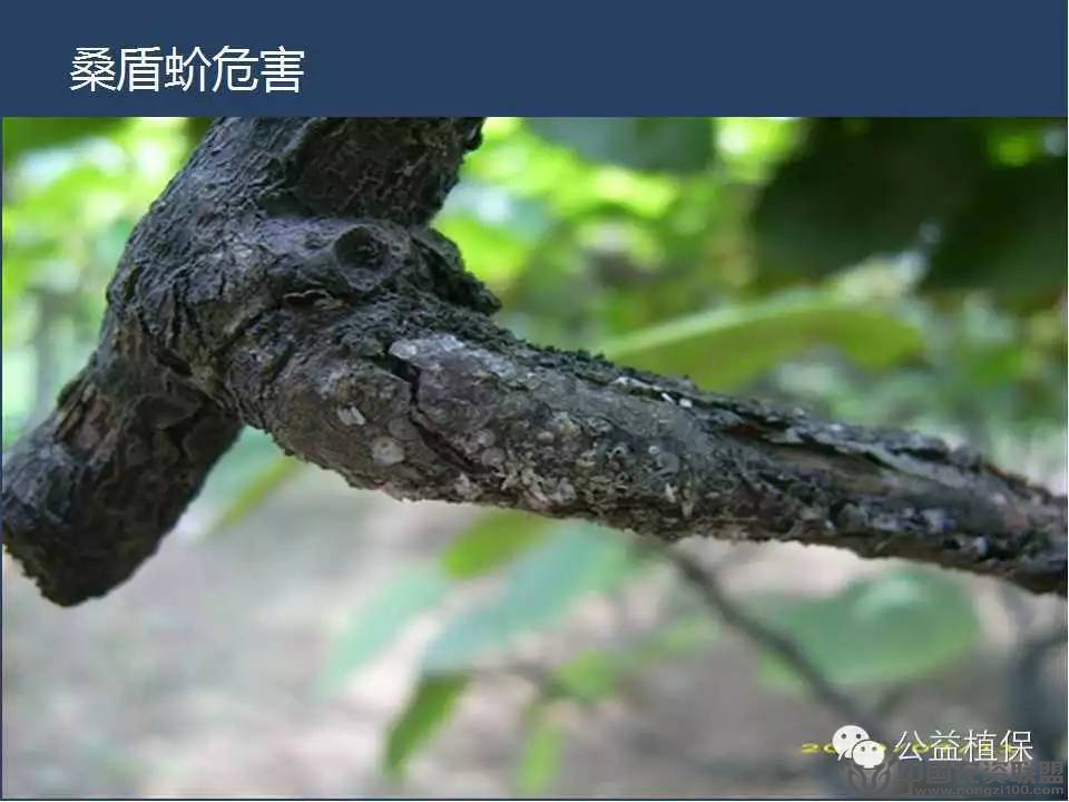 附件