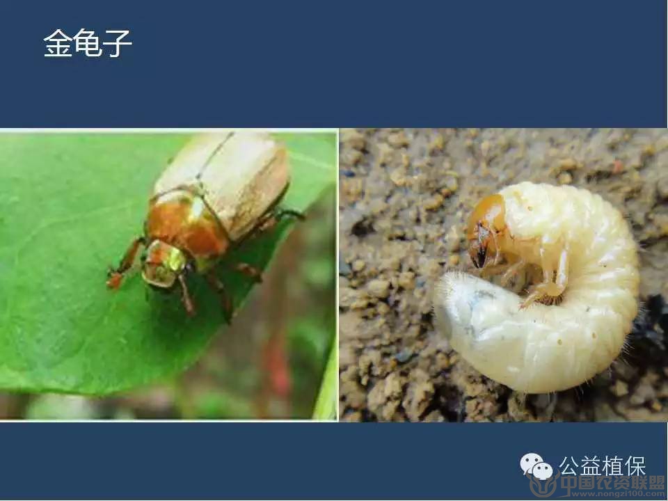 附件
