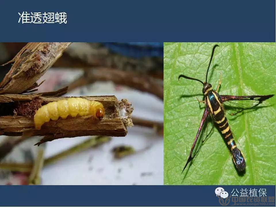 附件