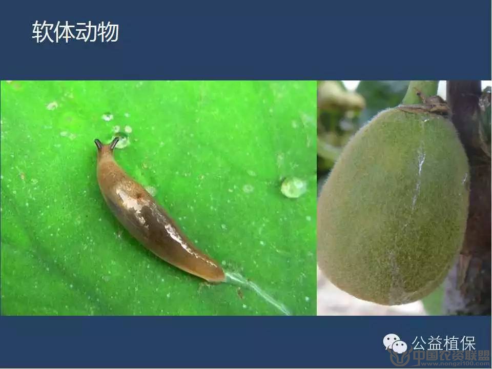 附件