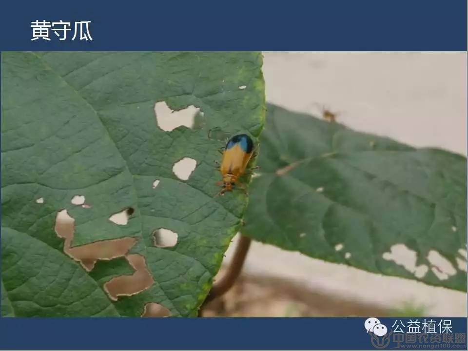 附件