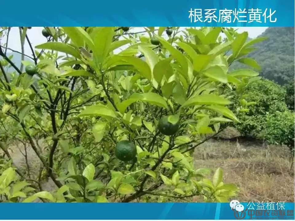附件
