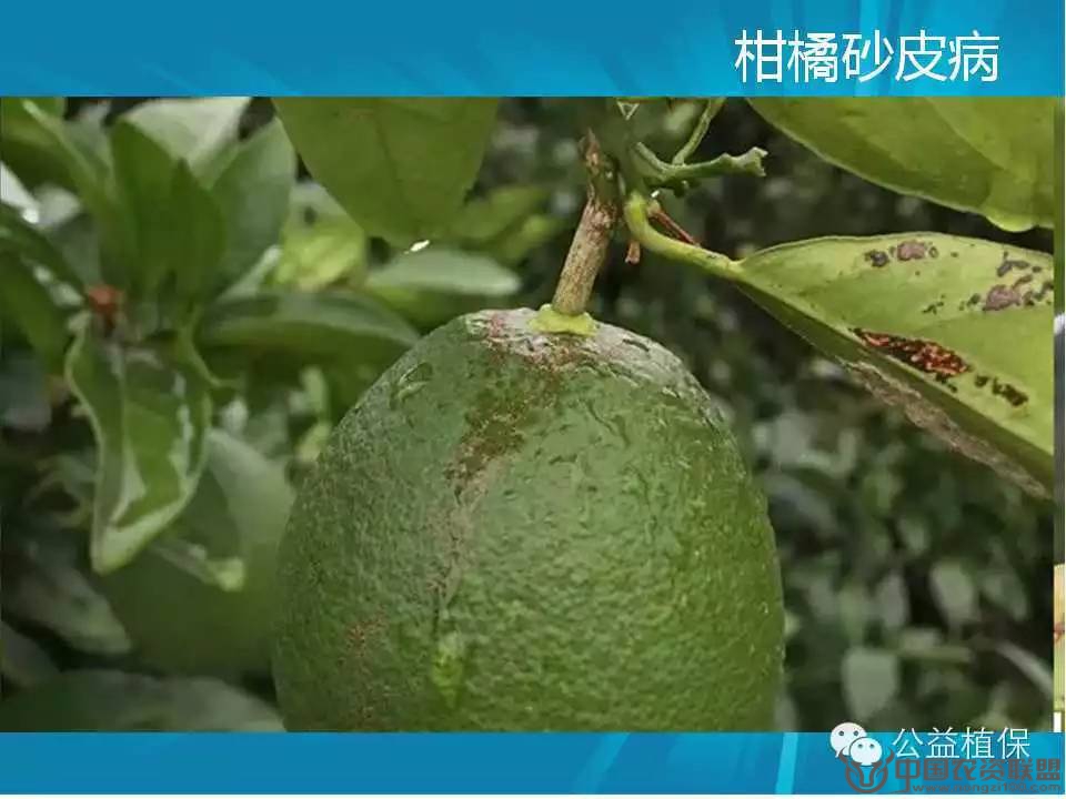 附件