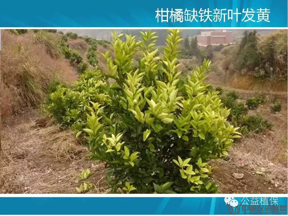 附件