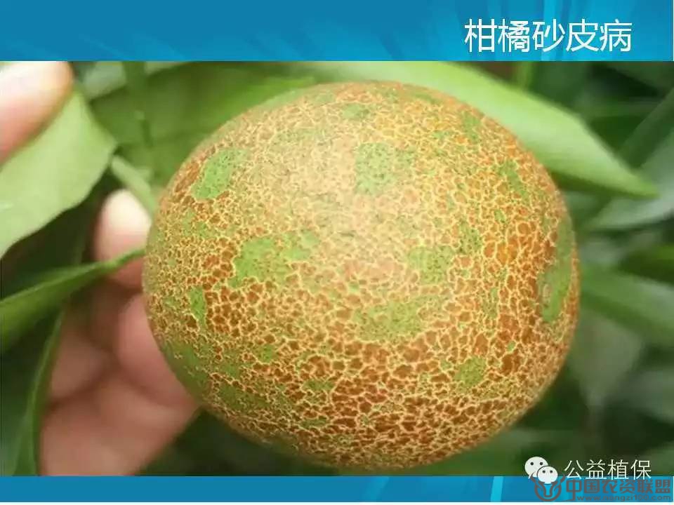 附件