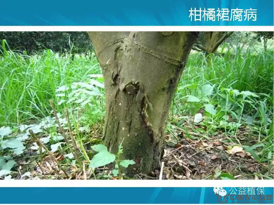 附件