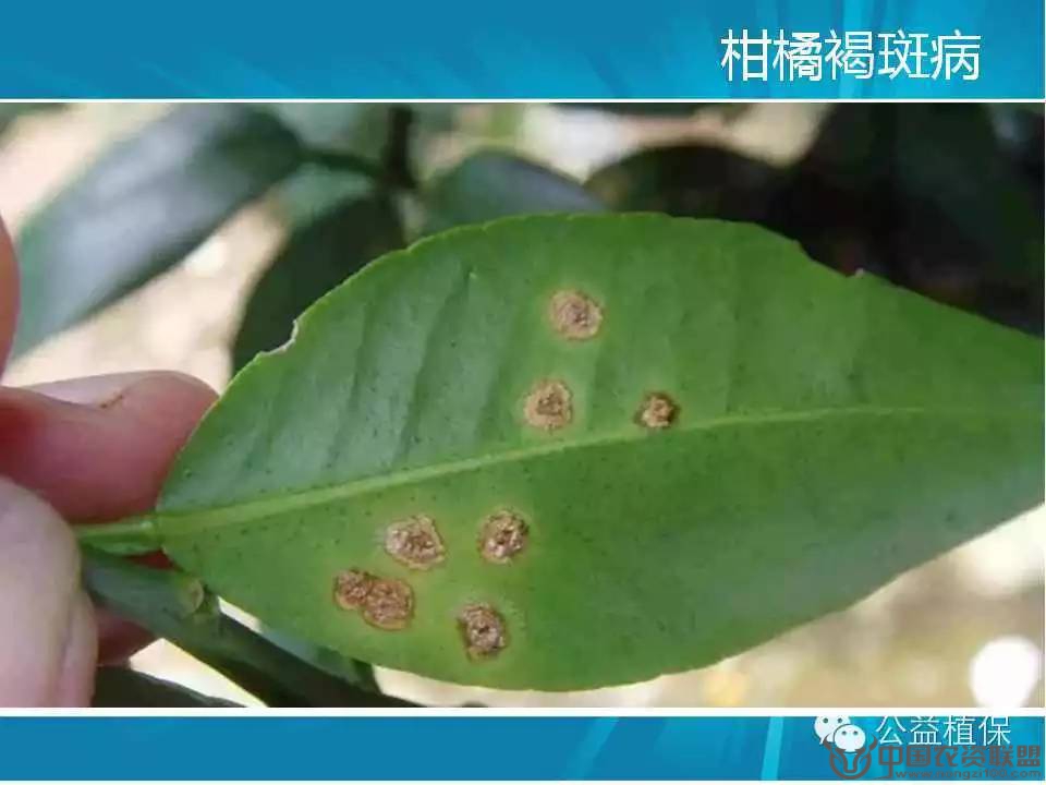 附件