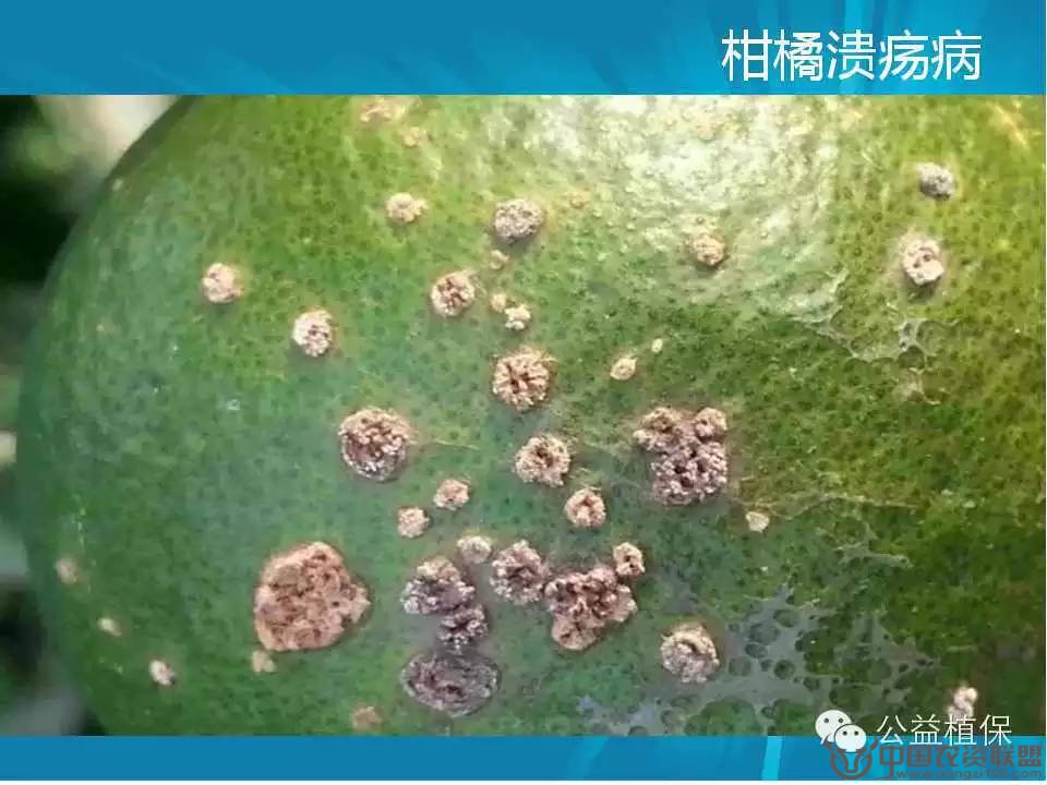 附件