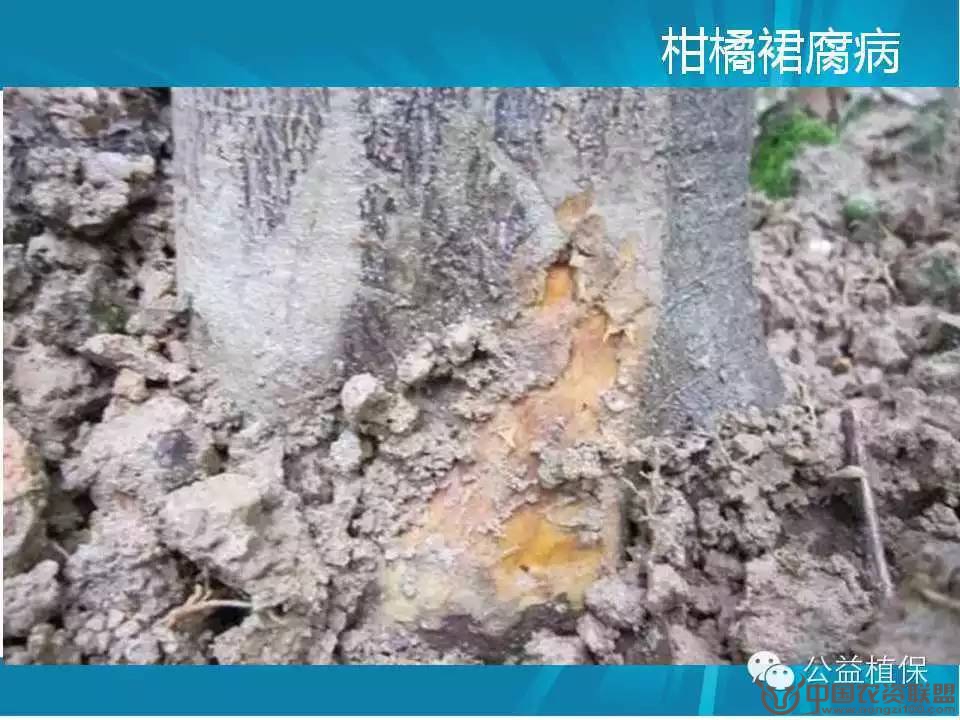 附件