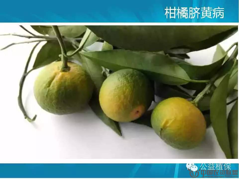 附件