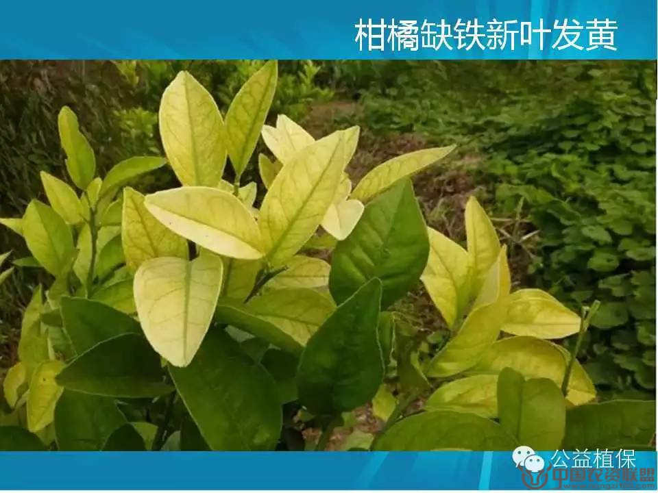 附件