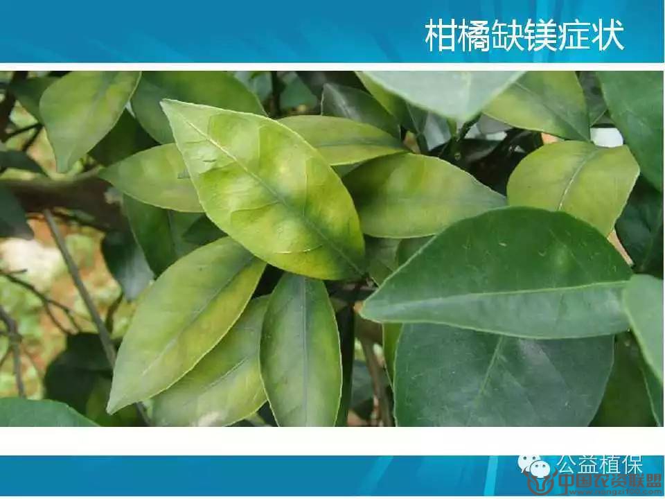 附件
