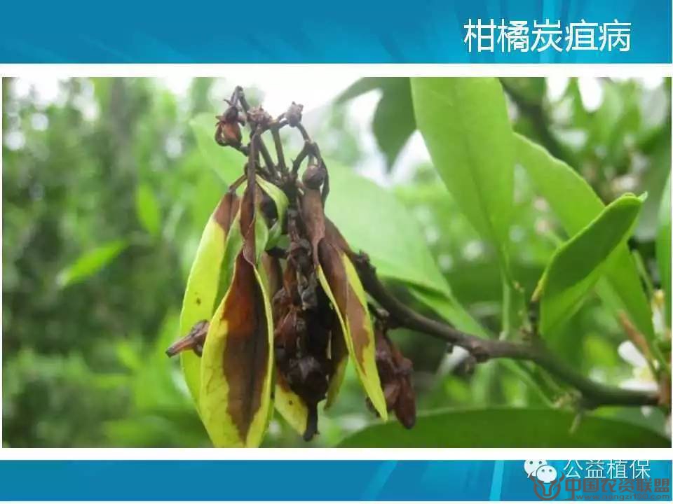 附件