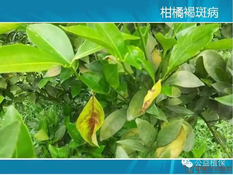 附件
