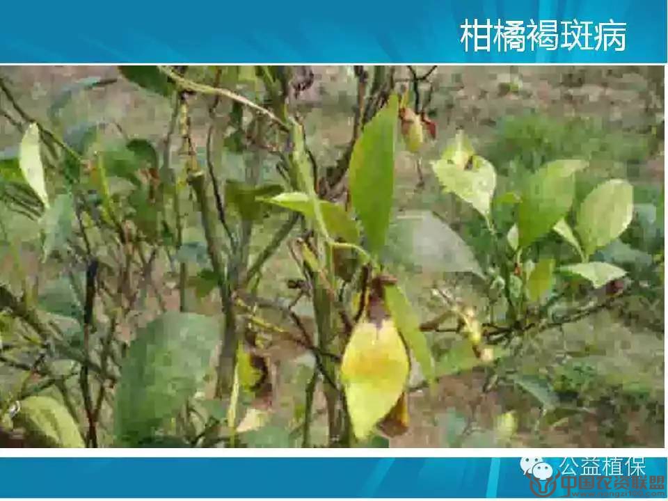 附件