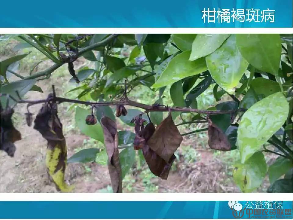 附件