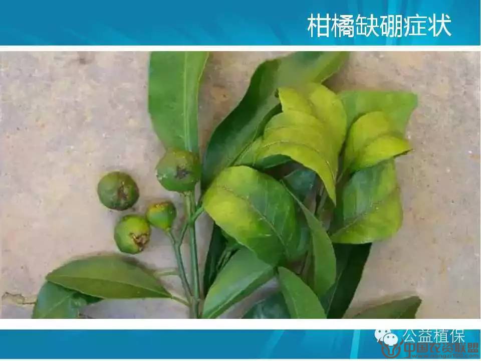 附件