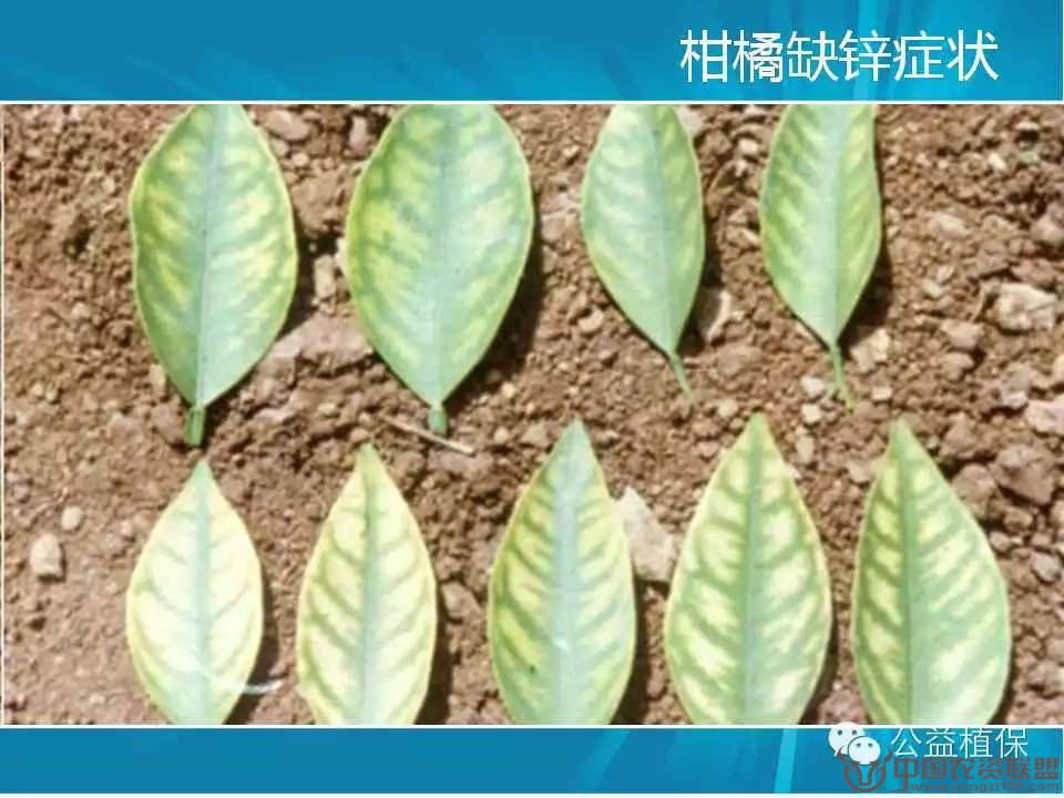 附件