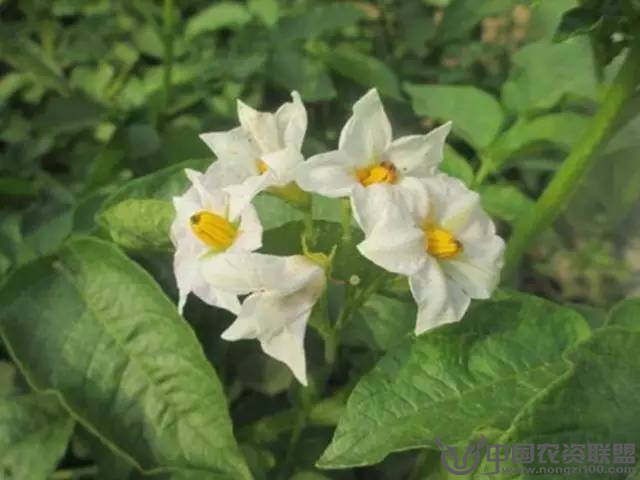 附件