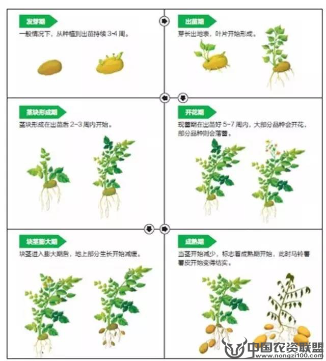 附件