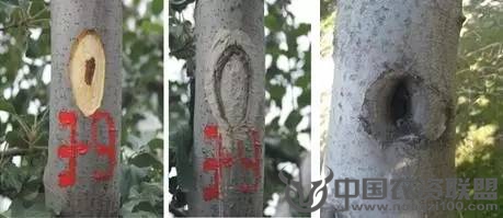 附件