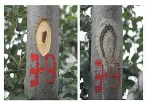 附件