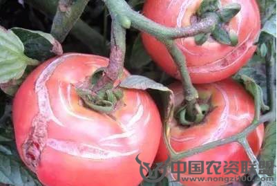 附件