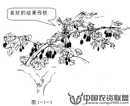 附件