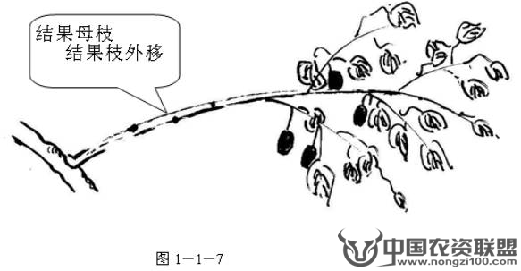 附件