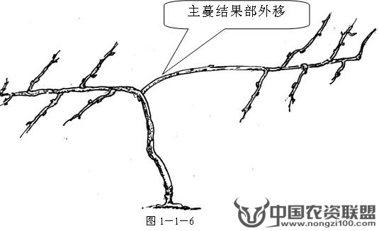 附件