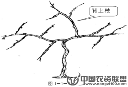 附件