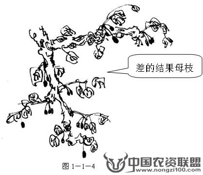 附件