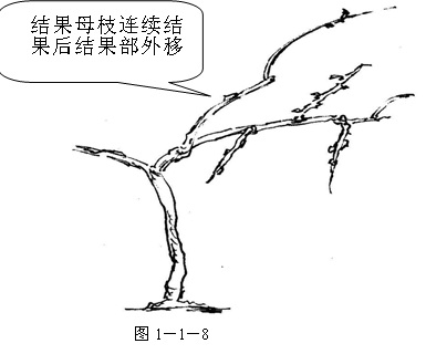 附件