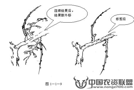 附件