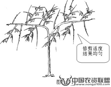 附件