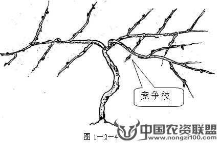 附件