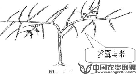 附件