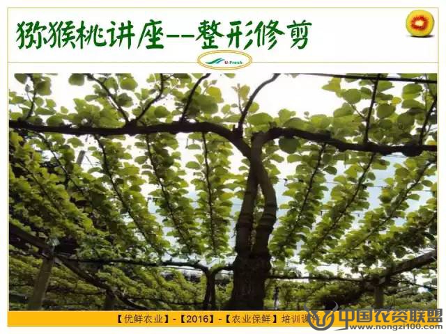 附件