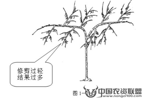 附件